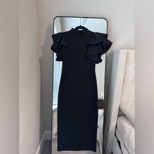 Elegant Black Ruffle Sleeve Dress